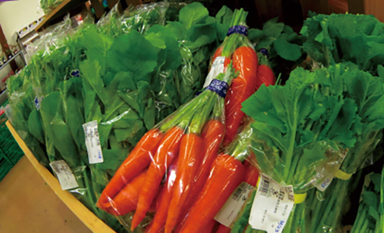 写真提供「RVパーク湯の華RVキャンプ場」