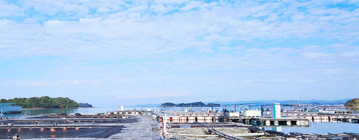 写真提供「RVパーク とれとれ市場 南紀白浜」