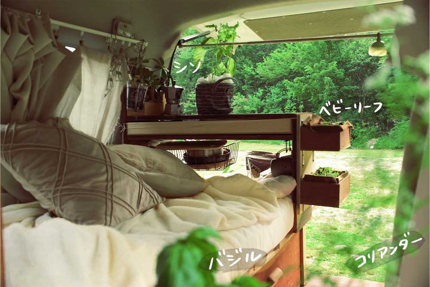 車内に積まれたシソ、ベビーリーフ、コリアンダー、バジル