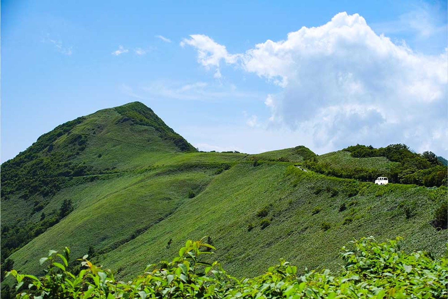 深く濃い緑が印象的な山岳スカイラインを、白くまはどんどん走っていきます