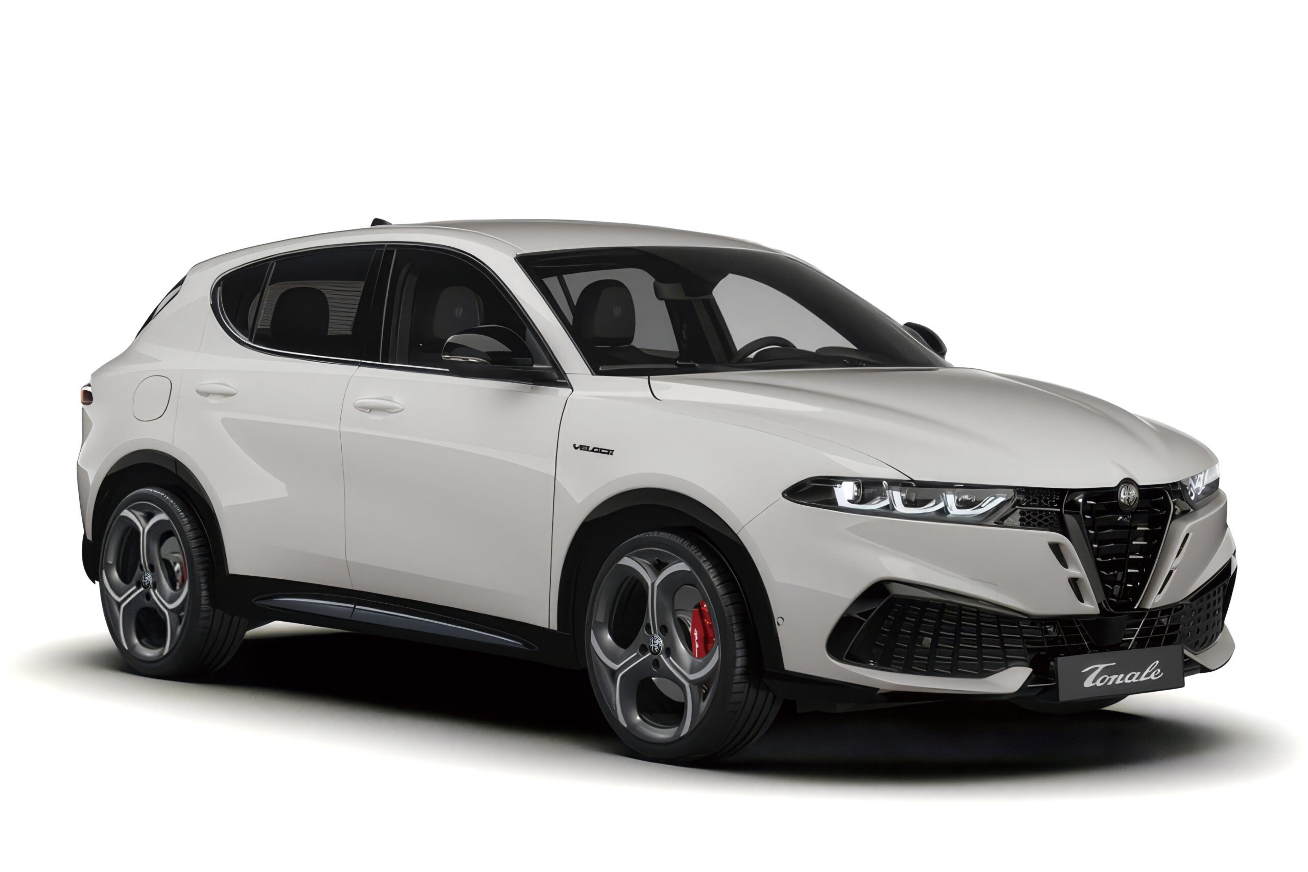 アルファロメオ・トナーレ イブリダ｜カラー：アルファ ホワイト