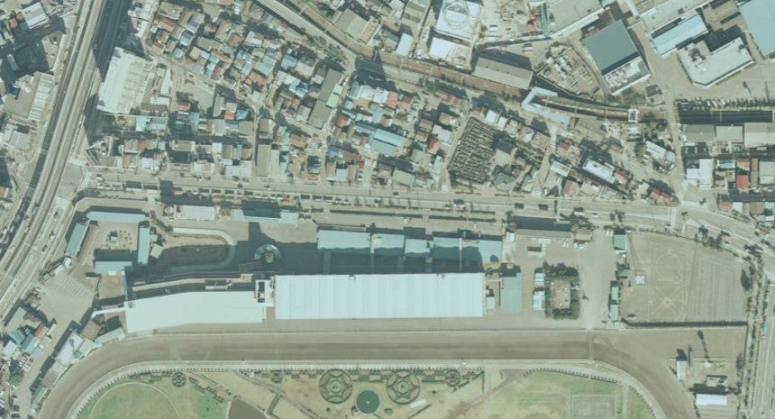 国道409号の様子。