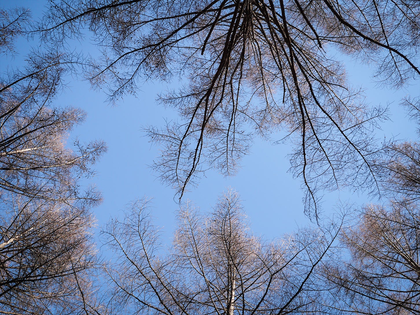 群馬県北軽井沢にある「outside BASE」内の様子