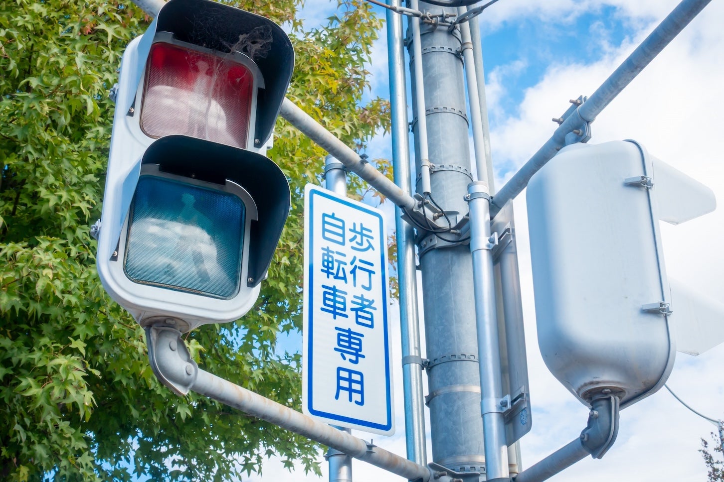 歩行者・自転車専用信号機の写真