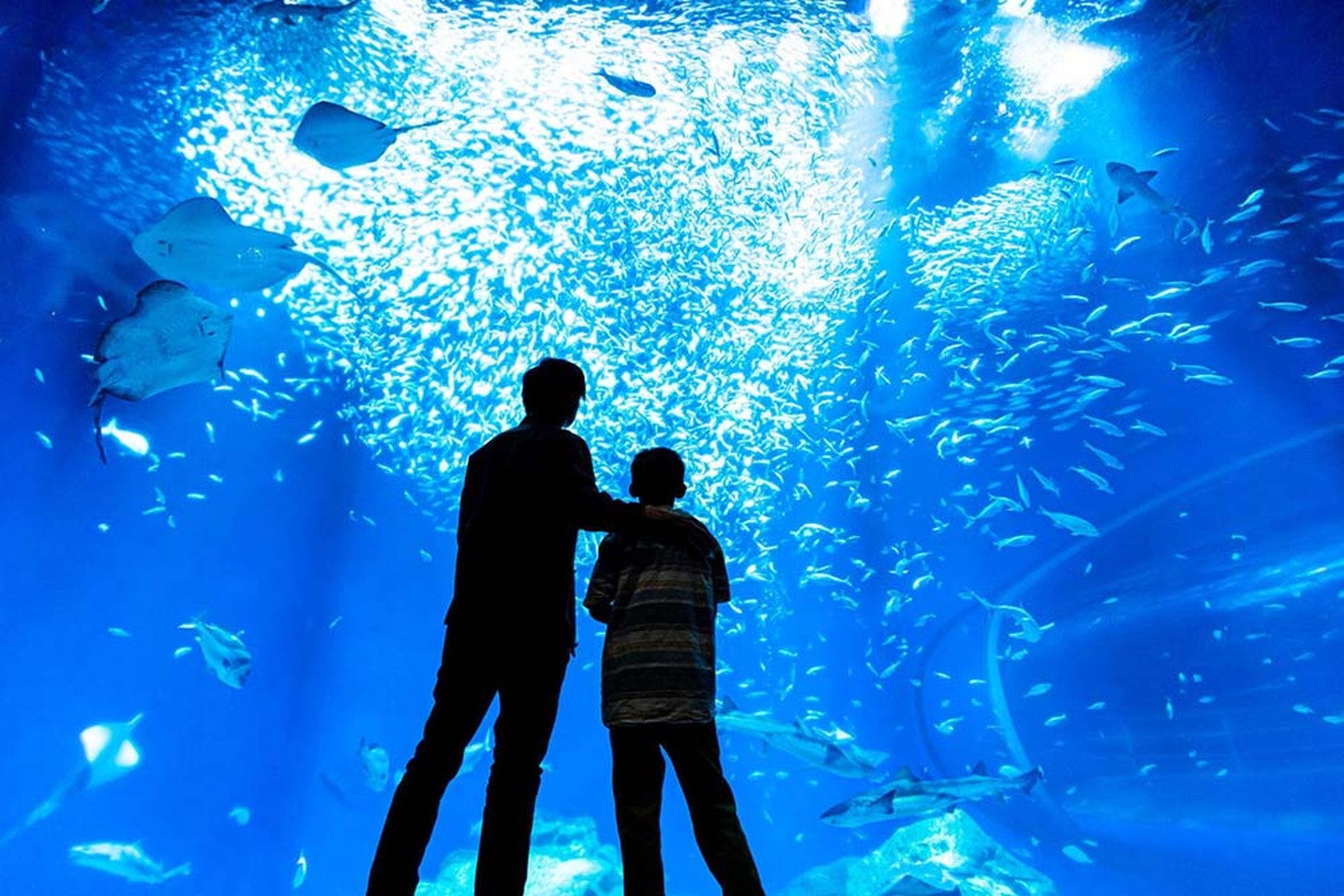 アクアワールド茨城県大洗水族館