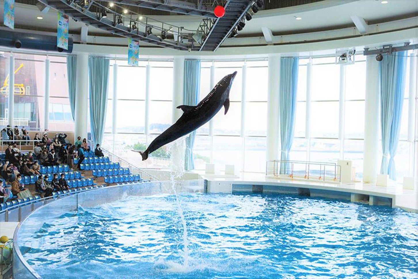 アクアワールド茨城県大洗水族館