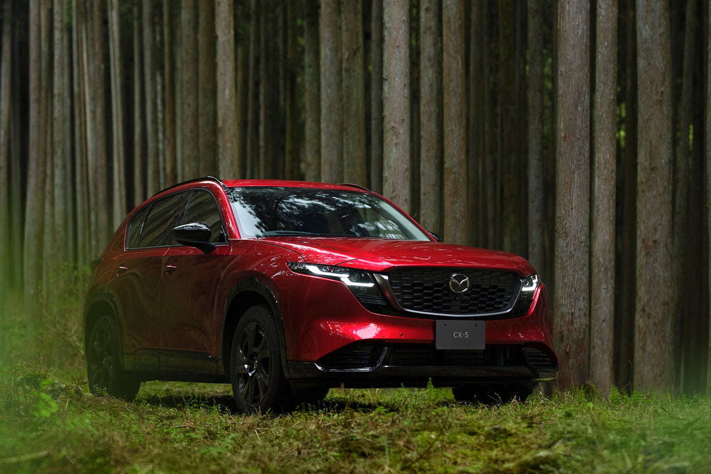 マツダCX-5｜Mazda CX-5