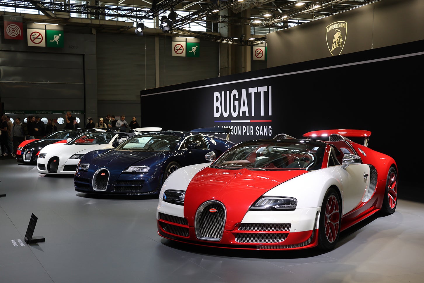 ブガッティはヴェイロンの誕生20周年を祝った。（photo : Bugatti）