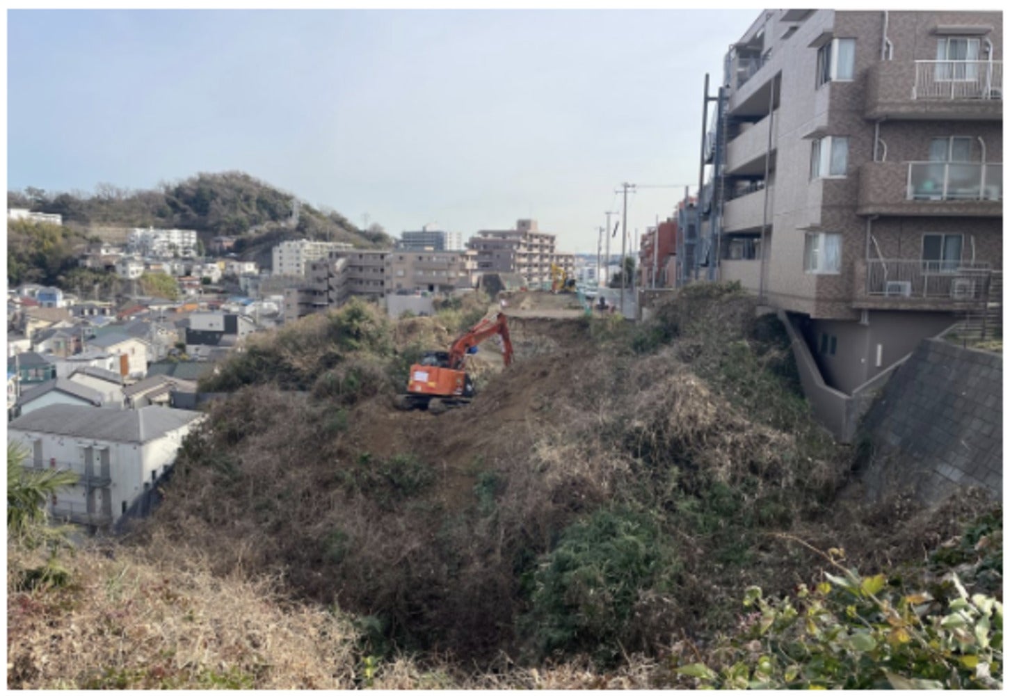 2026年1月、トンネル中間地点、小土被り区間の準備工事として伐採をした様子