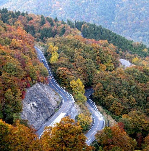 林道「白山白川郷ホワイトロード」は急カーブが続く道路だ