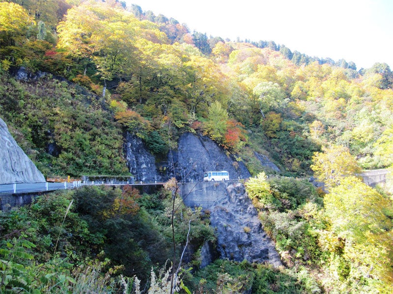 林道「白山白川郷ホワイトロード」。現在、石川県と岐阜県をつなぐ実質的に唯一のルートだ