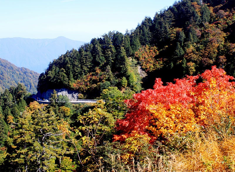 林道「白山白川郷ホワイトロード」。現在、石川県と岐阜県をつなぐ実質的に唯一のルートだ