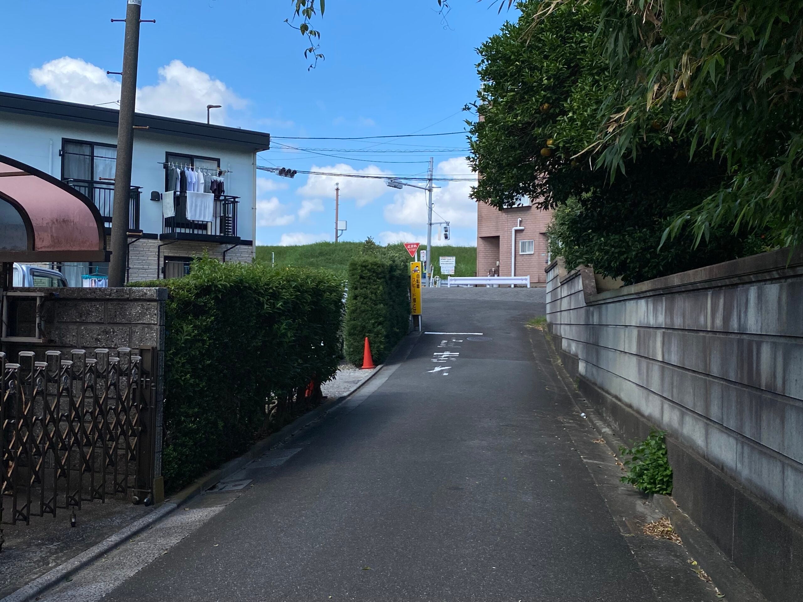篠崎の架橋予定地点付近。