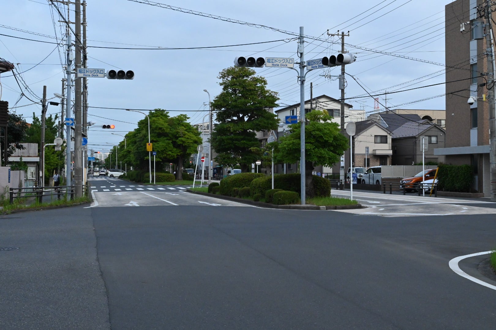 千葉県側の「さくら通り」は堤防手前まで開通している
