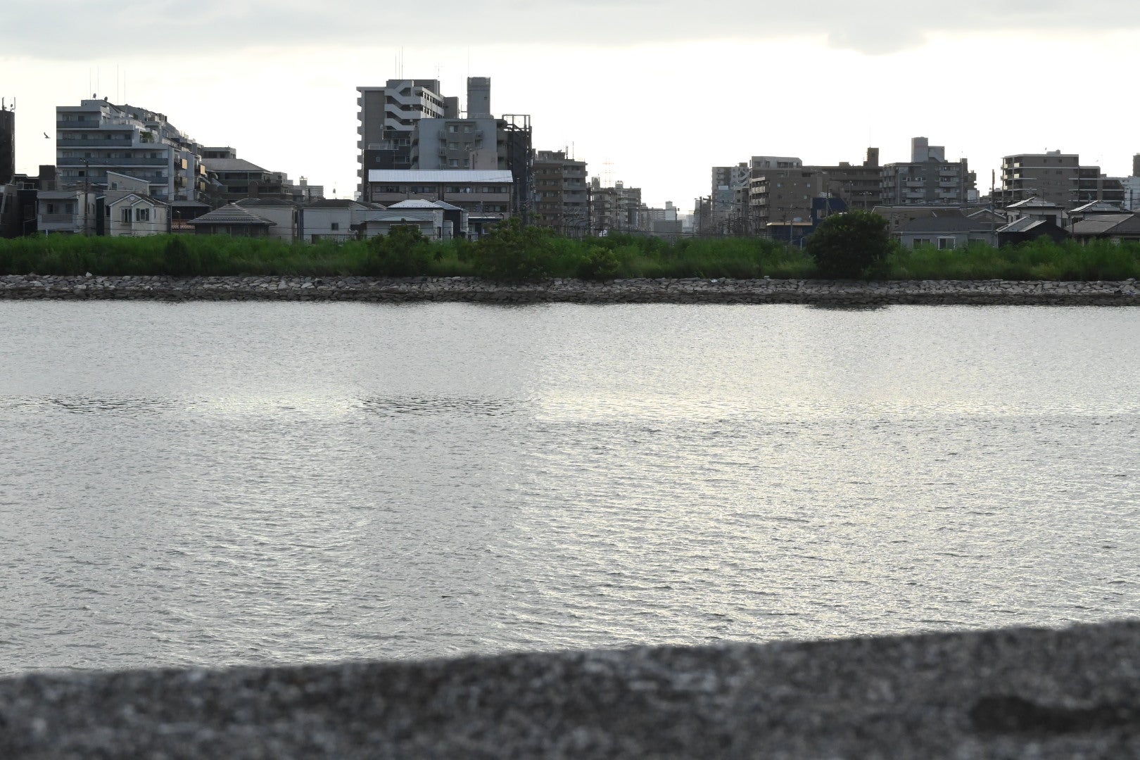 旧江戸川の堀江橋計画地点付近