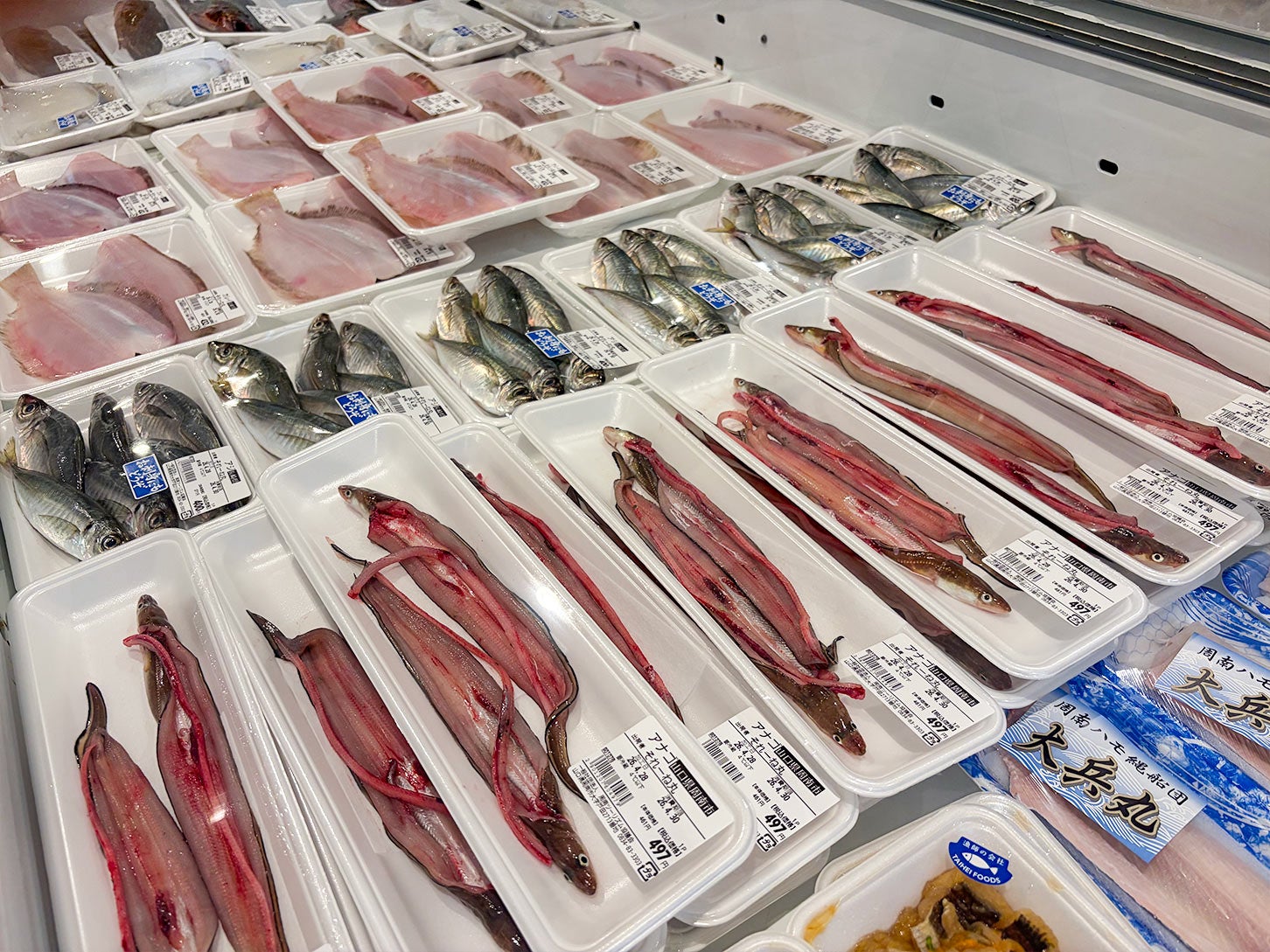 道の駅 ソレーネ周南｜鮮度抜群の魚介類