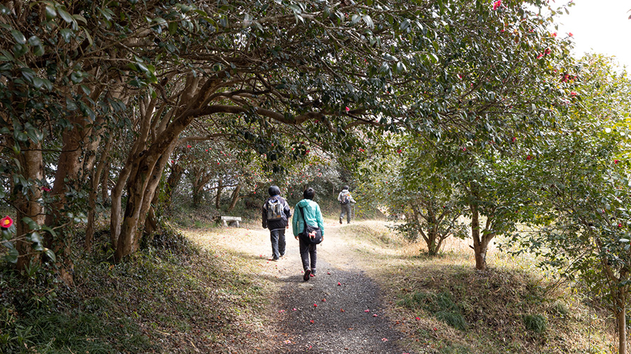 「稲ヶ崎公園」の林道