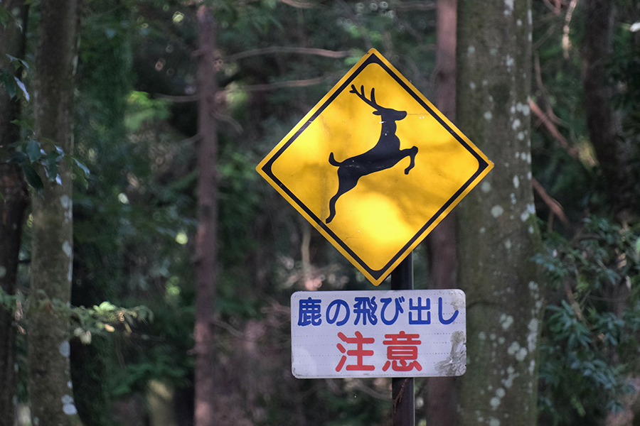 © IMPROVE.Create.Co. - stock.adobe.com　画像＝鹿の飛び出し注意の標識 北海道の高速道路にも国道にもある