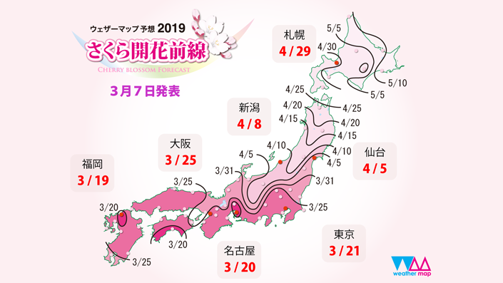桜の開花予想2019｜さくら｜サクラ｜お花見